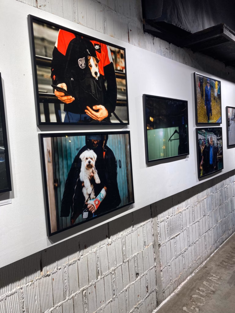 Slika za članak “Moda u gradu” do 31. januara u galeriji “O3ZONE”